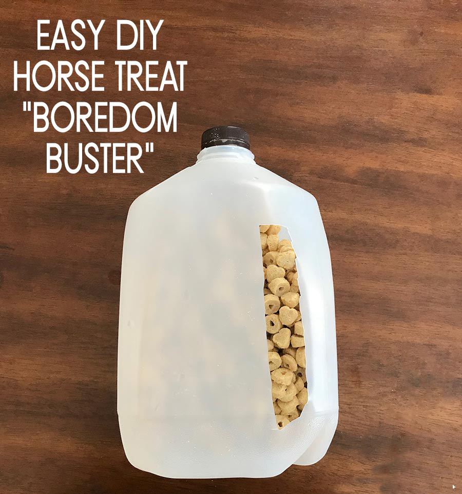 homemade boredom breakers for horses