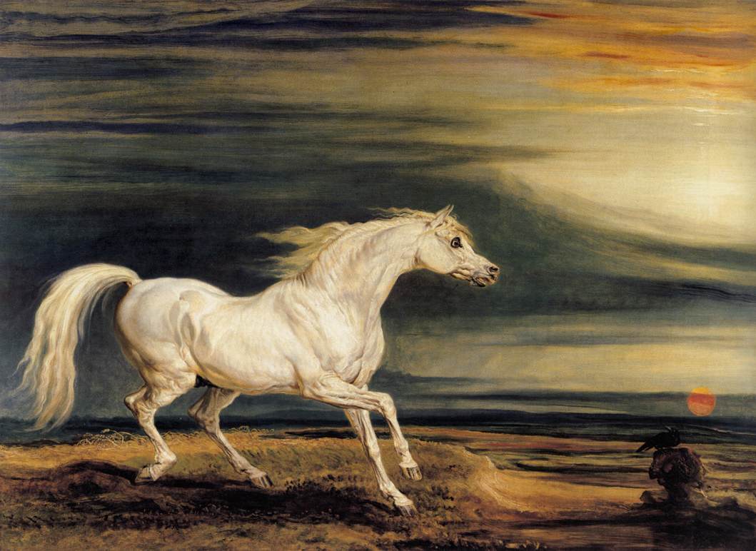 A white horse on a beach