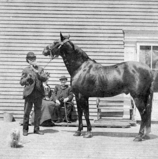 The horse Beautiful Jim Key with his owner and trainer