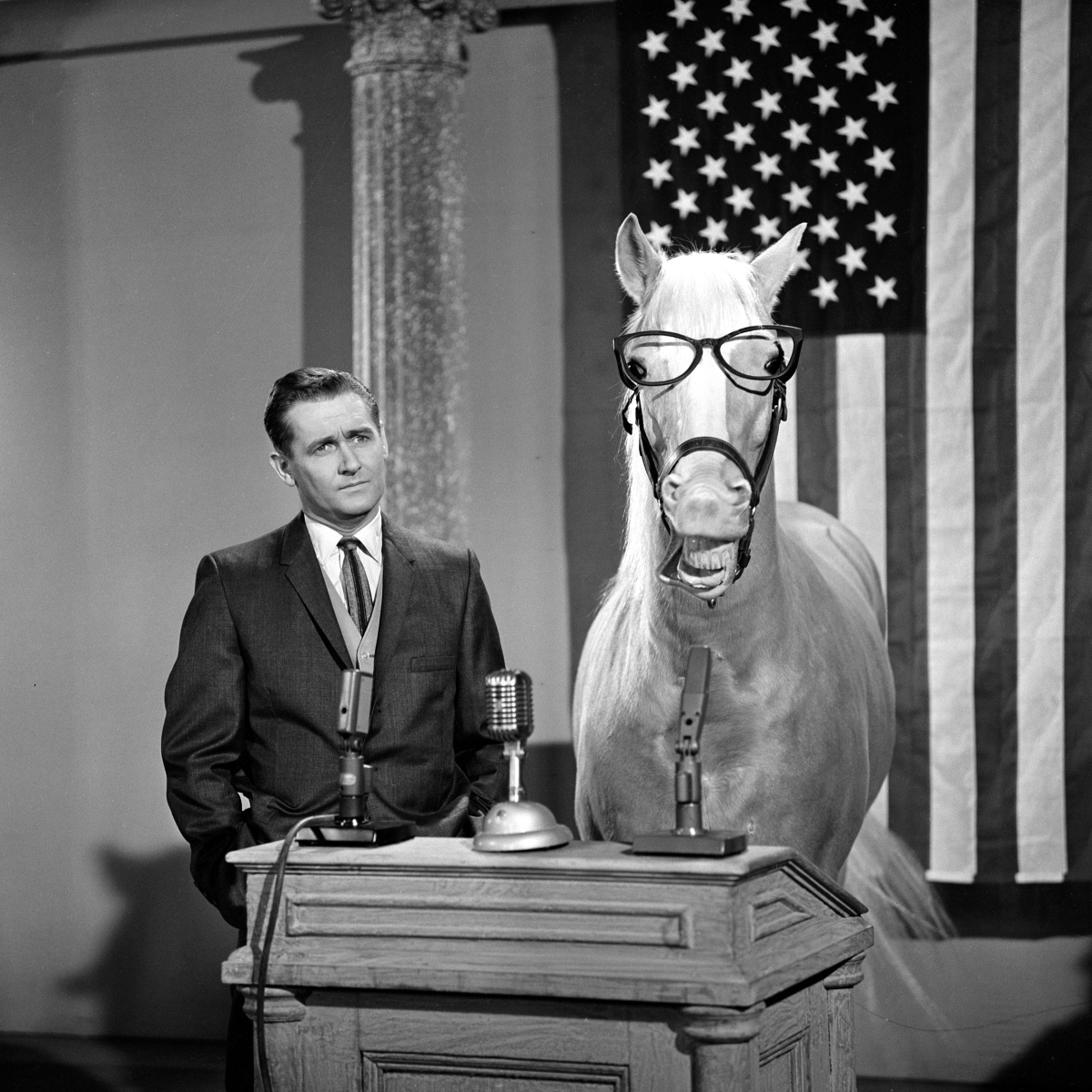 black and white photo of a horse and man in front of an american flag