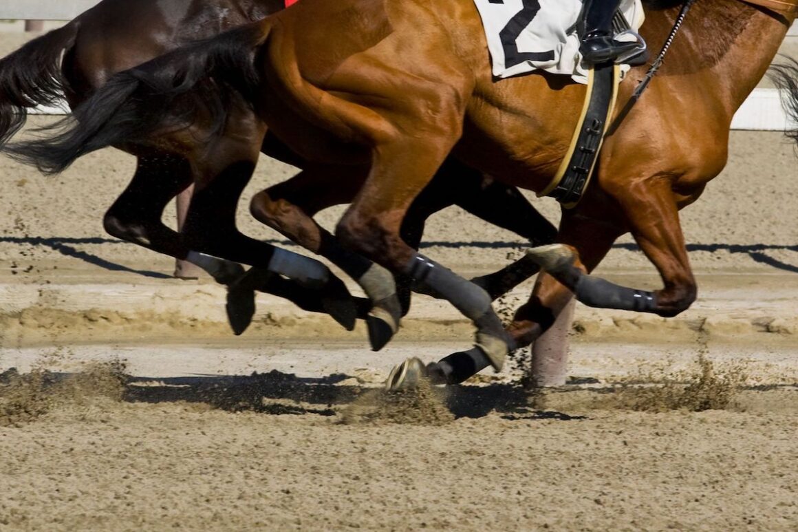 Thoroughbred horses racing on a track, legs only in the photo