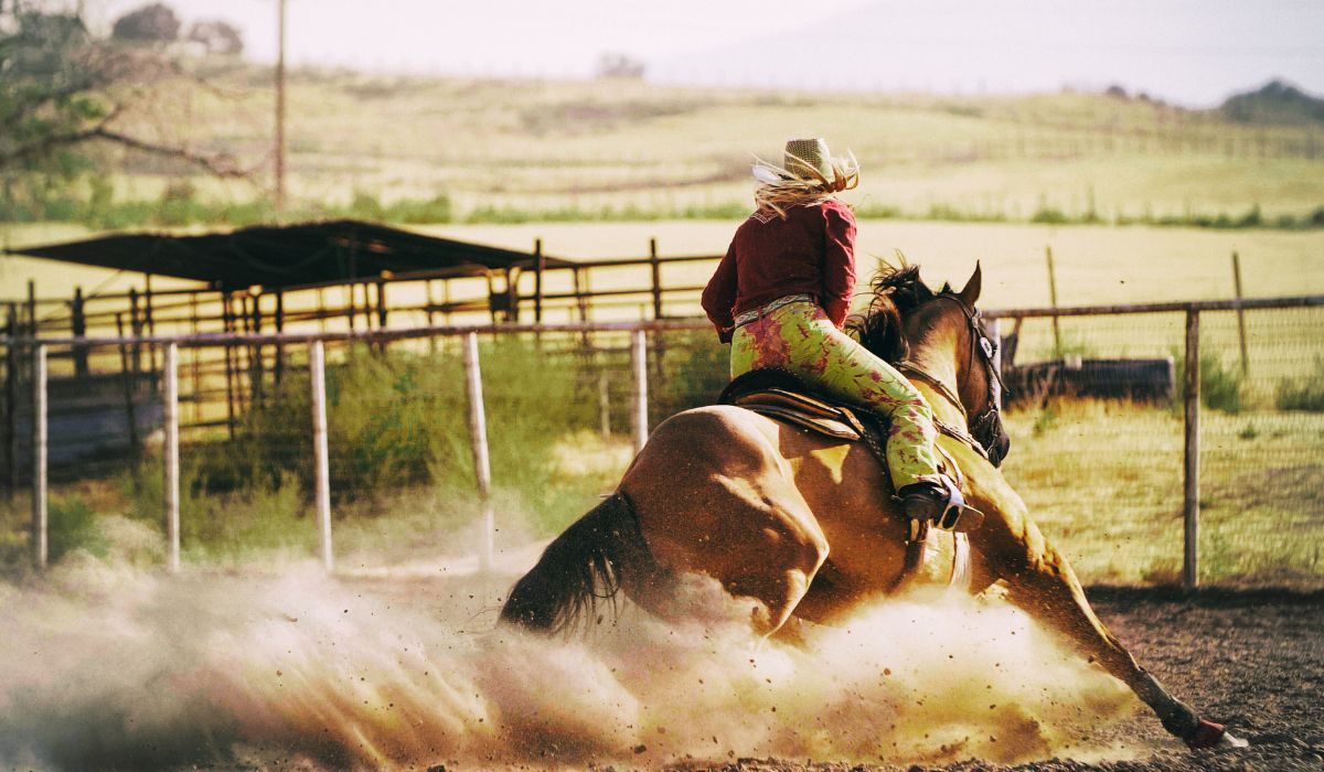 Quarter Horse and rider doing barrel racing
