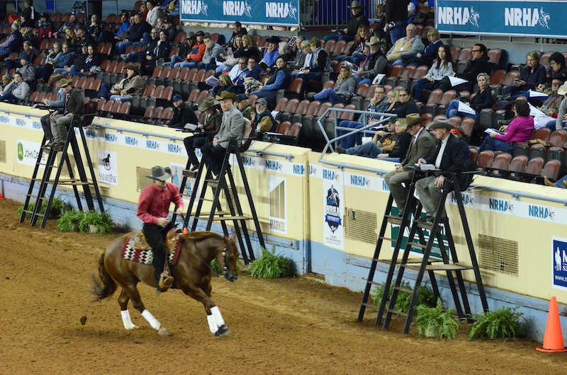 Horse and rider at a reining competition in front of judges