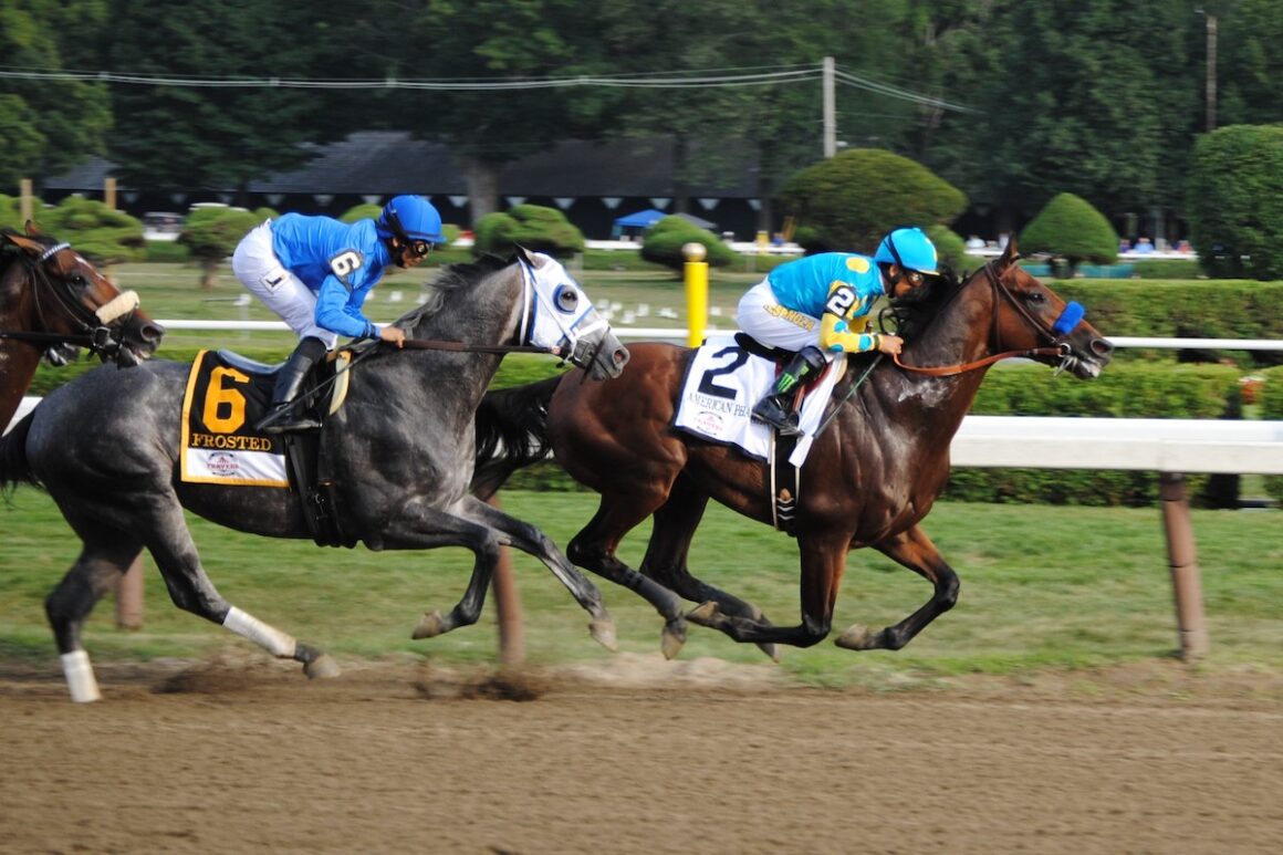 A brown and a grey racehorse with jockeys galloping on a track