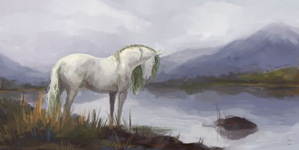 Grey kelpie horse looking at a body of water