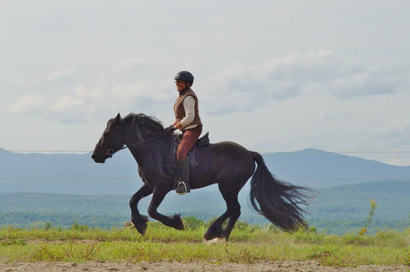 A woman cantering a black Dale pony