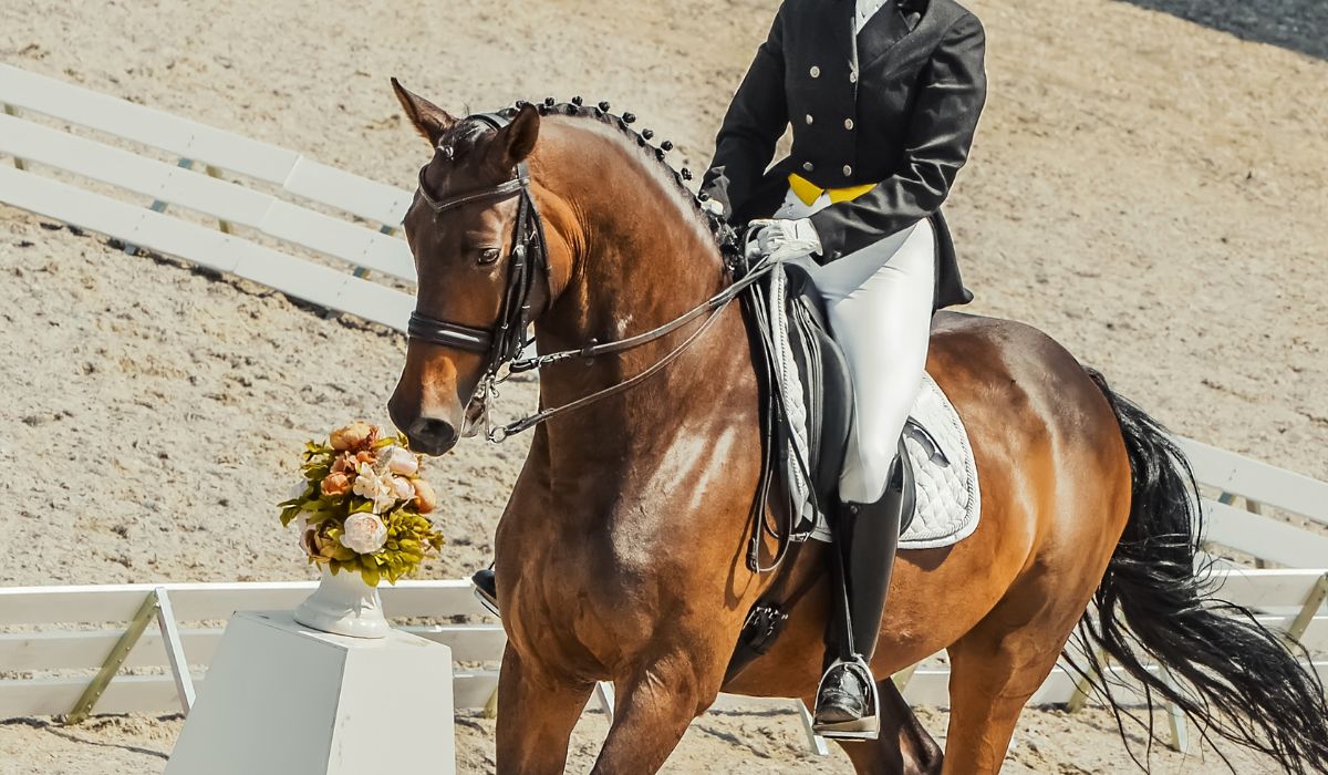 Woman riding a bay horse in a dressage show