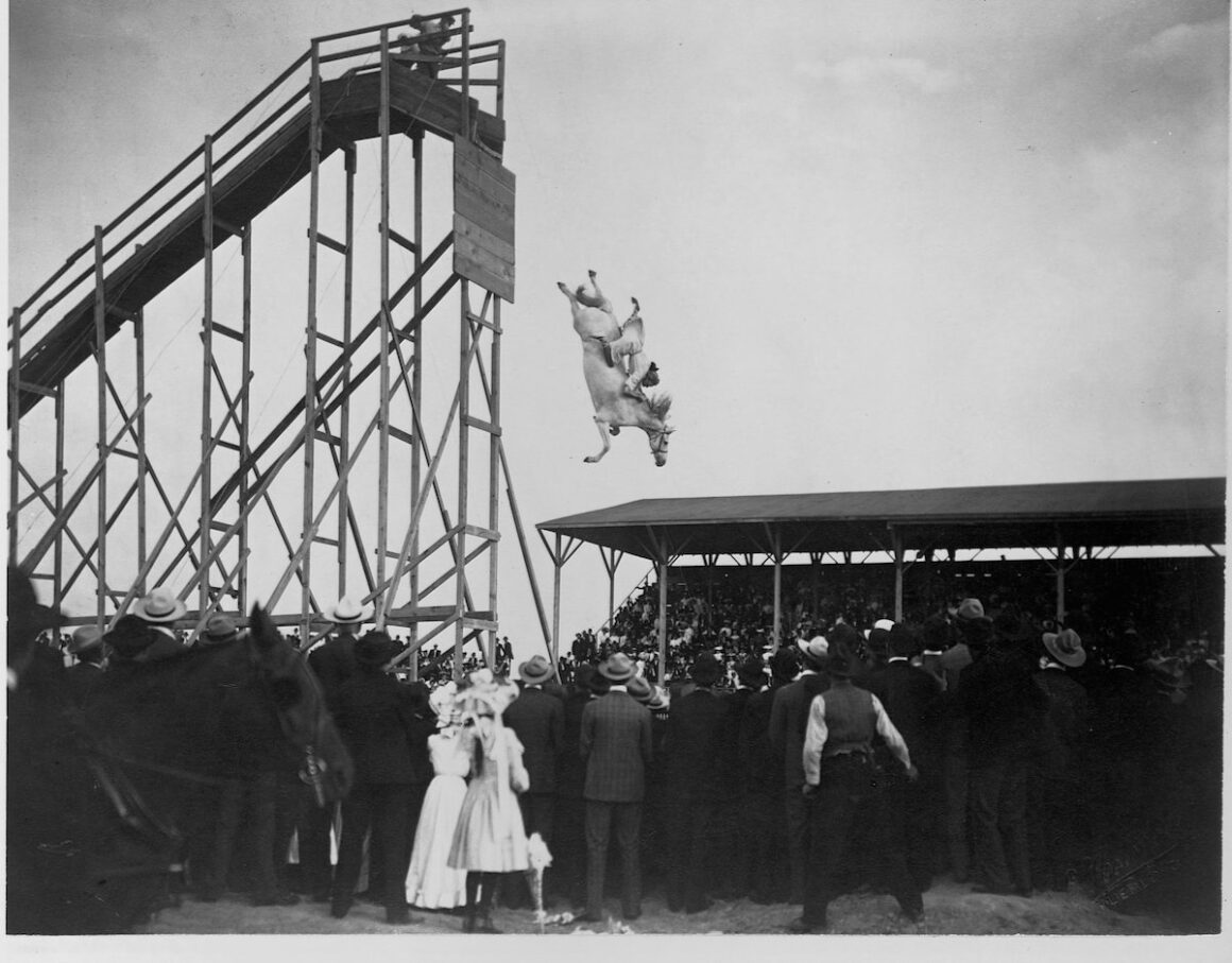 Black and white photo of a grey horse and a woman diving into water