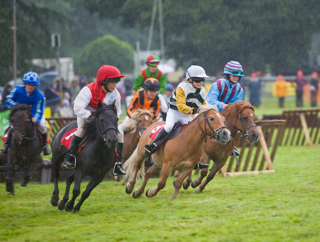 Child jockeys racing shetland ponies
