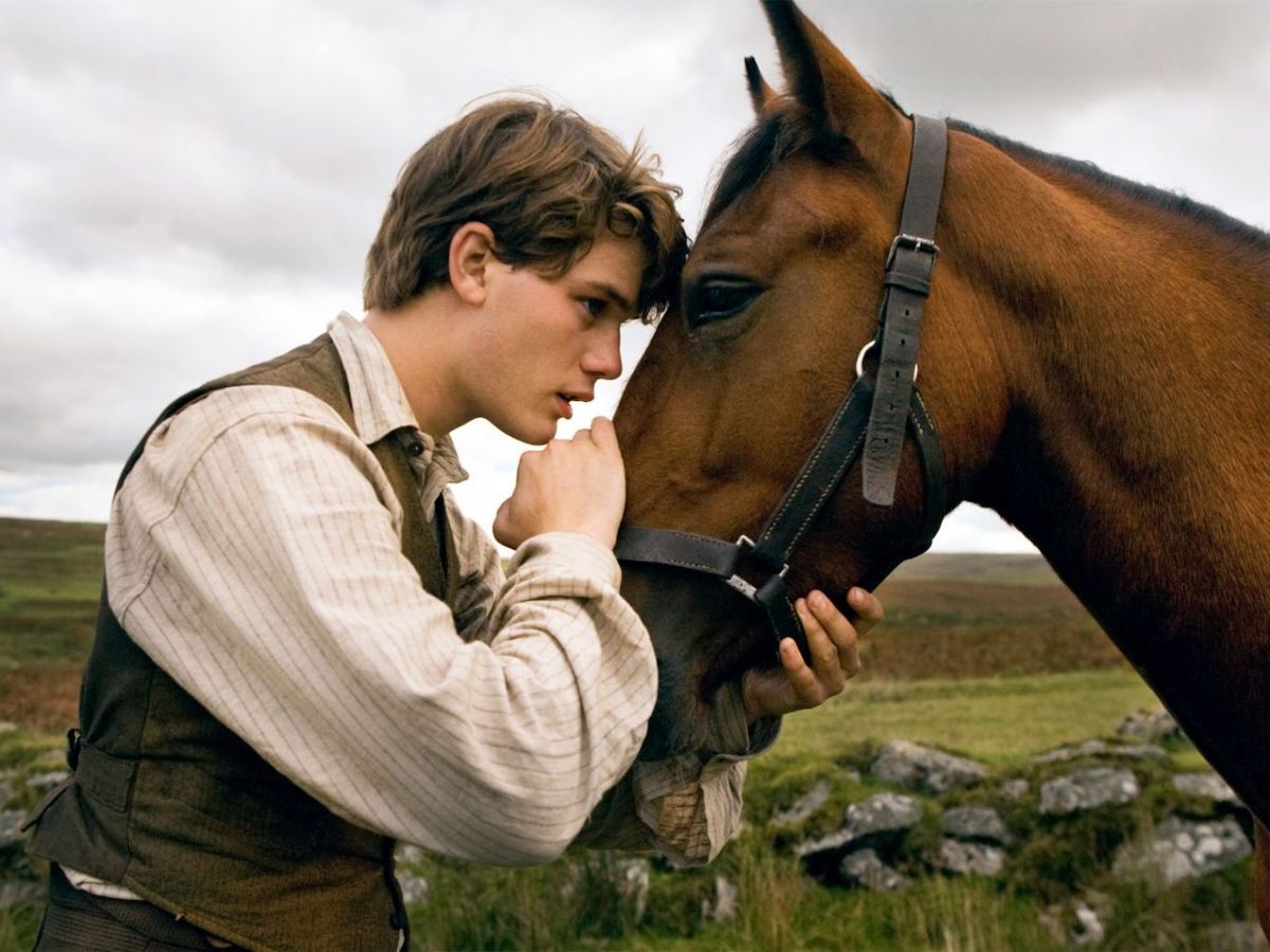 A young man pets the head of a bay horse