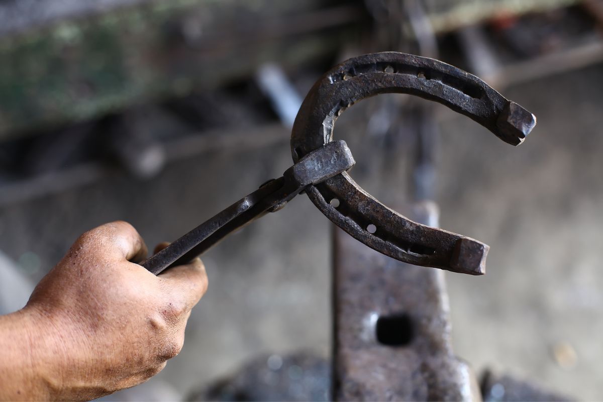 Farrier holding a horse shoe in metal tongs