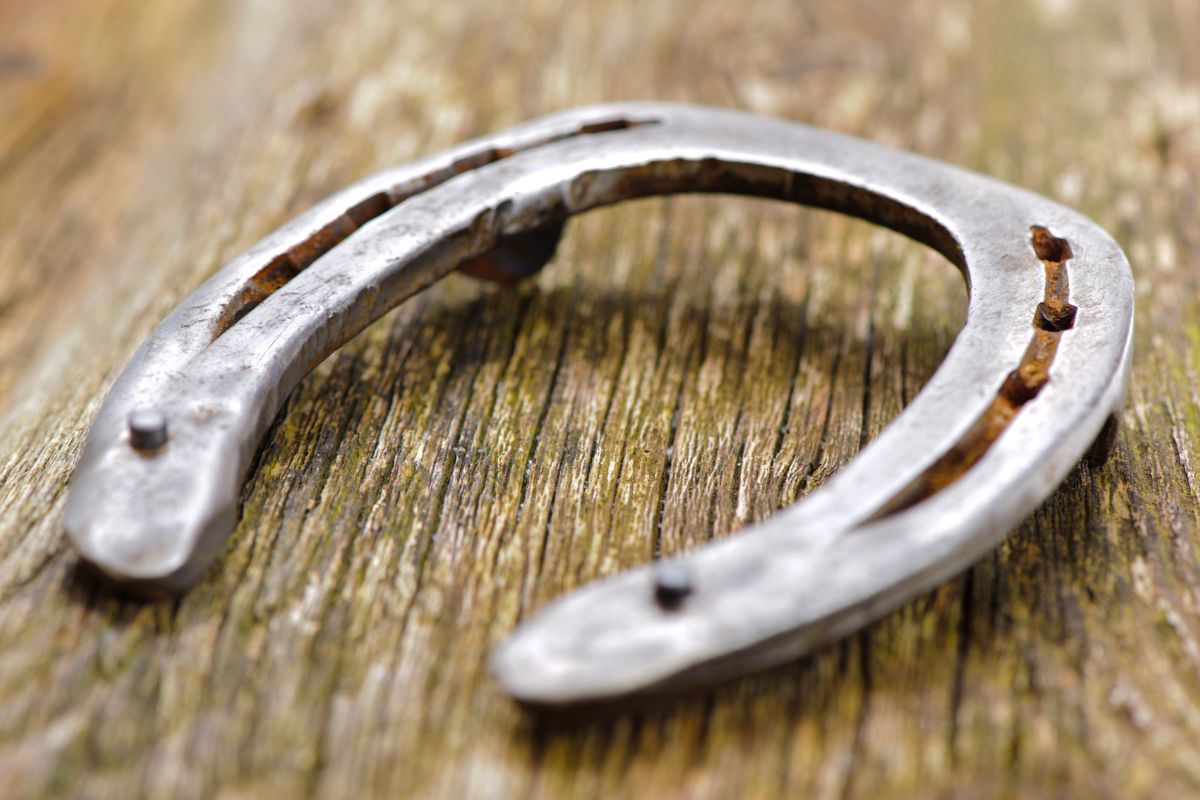 A horseshoe on a wood table