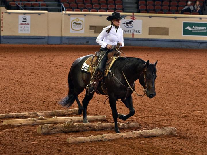 Woman riding a black gelding going over poles on the ground