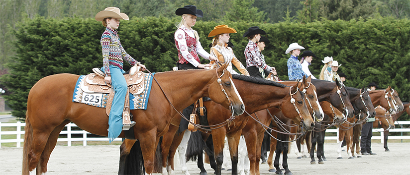 Riders on horses in a western show ring