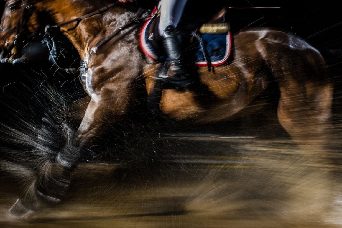 Brown horse galloping with a rider