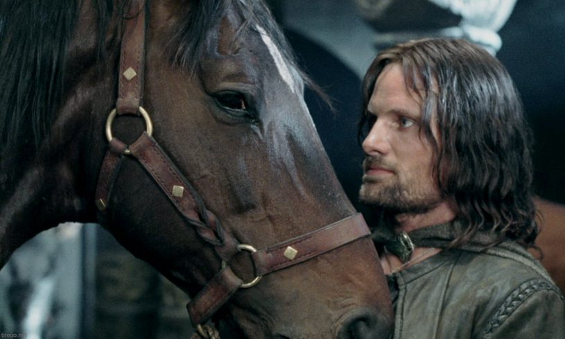 Brown horse and Aragorn from LOTR movies