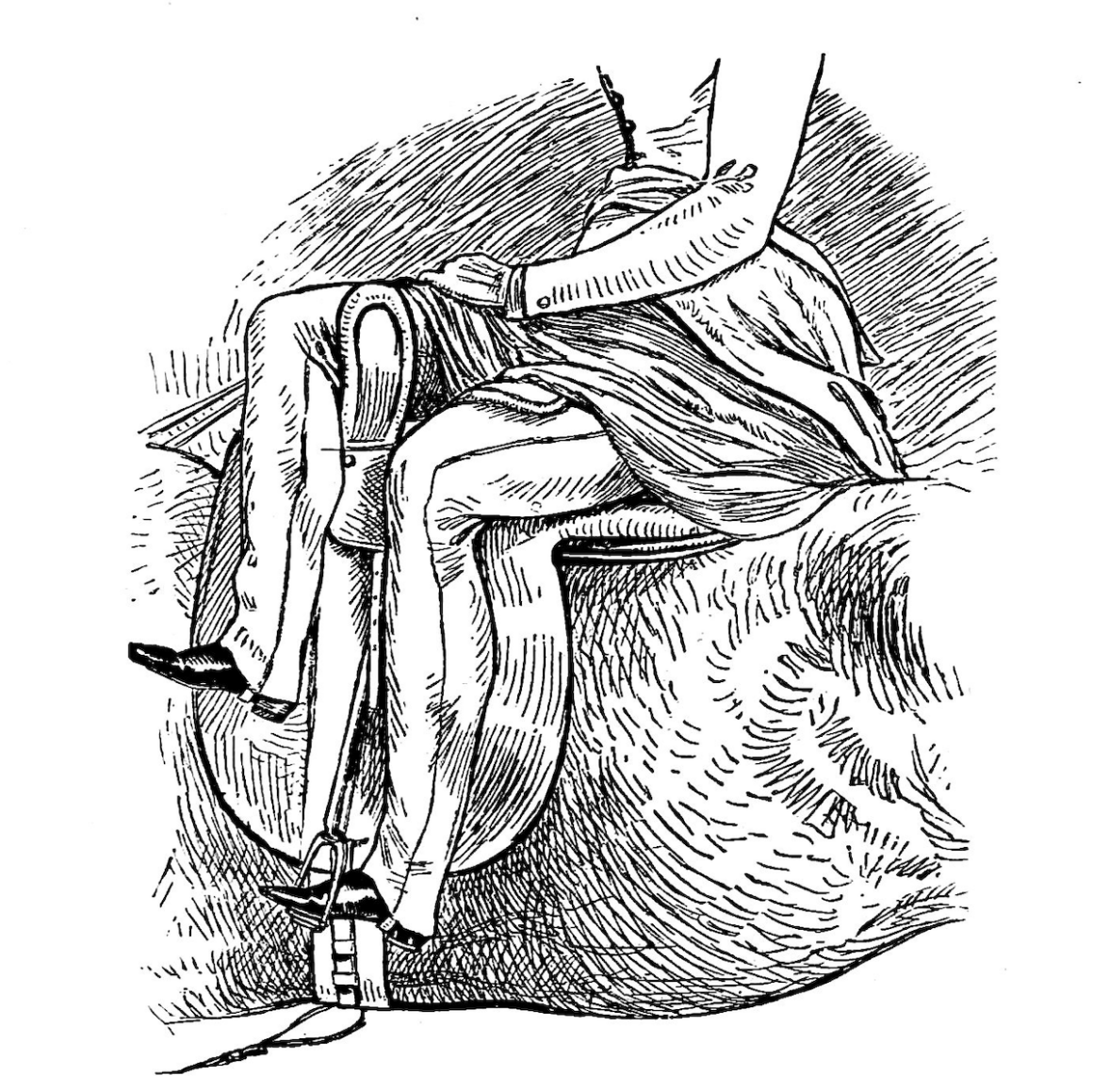 An illustration showing the correct side saddle riding position