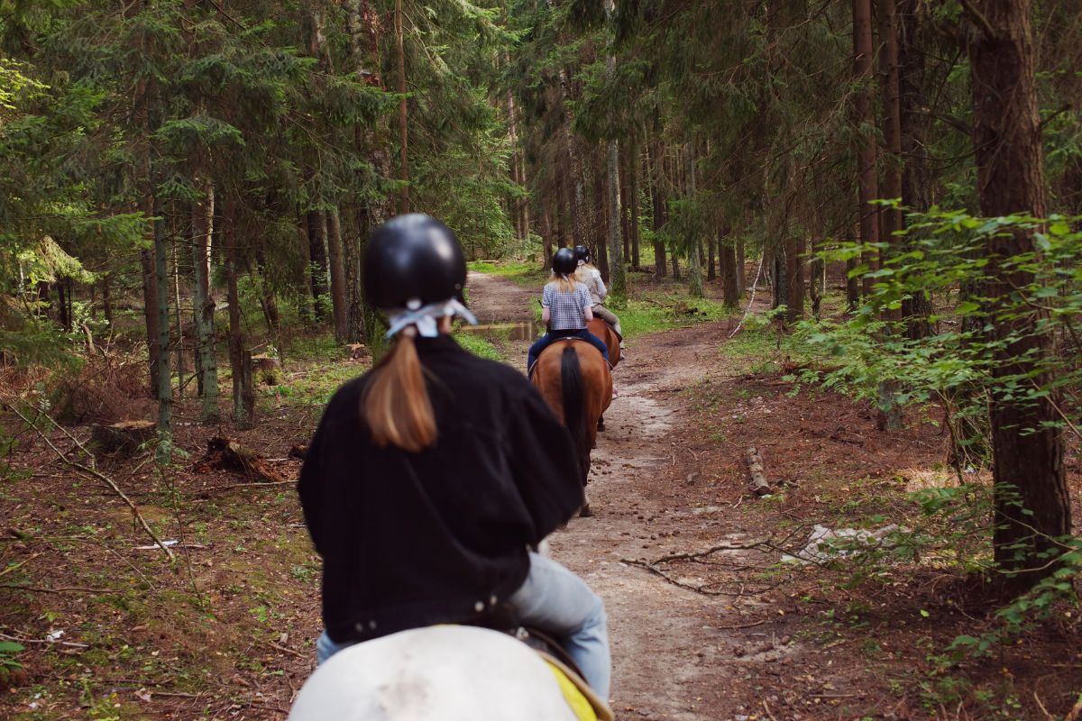 Three women trail riding with their horses