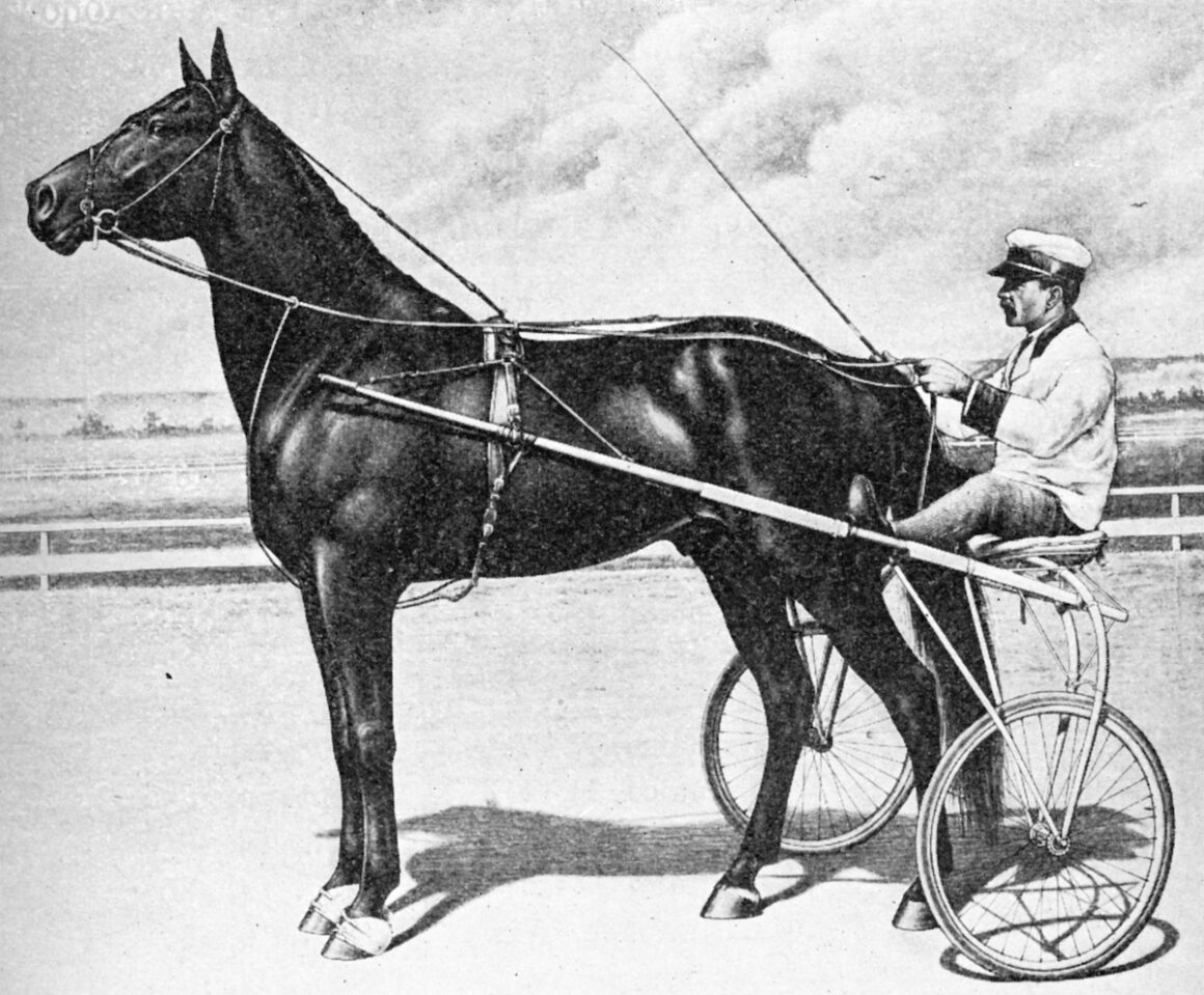 Black and white photo of Dan Patch in harness