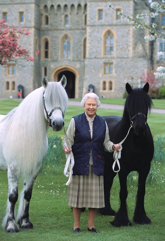 Queen Elizabeth with her Fell Ponies